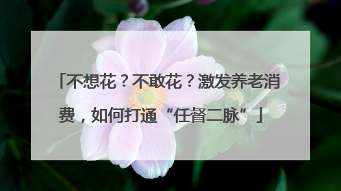 不想花？不敢花？激发养老消费，如何打通“任督二脉”