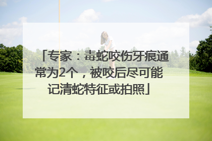专家：毒蛇咬伤牙痕通常为2个，被咬后尽可能记清蛇特征或拍照