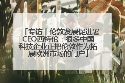 专访丨伦敦发展促进署CEO西特伦：很多中国科技企业正把伦敦作为拓展欧洲市场的门户