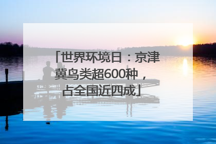 世界环境日：京津冀鸟类超600种，占全国近四成