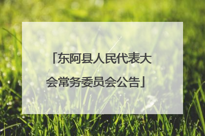 东阿县人民代表大会常务委员会公告