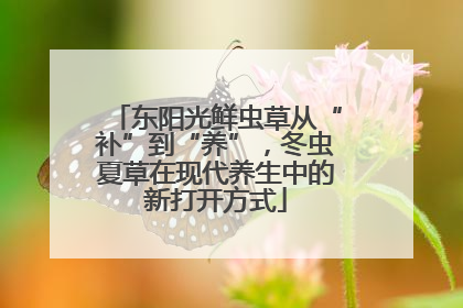 东阳光鲜虫草从“补”到“养”，冬虫夏草在现代养生中的新打开方式