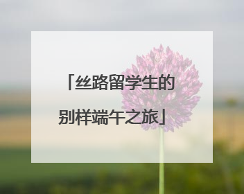 丝路留学生的别样端午之旅