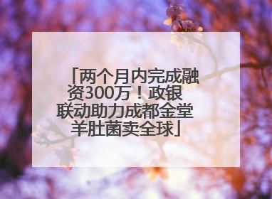 两个月内完成融资300万！政银联动助力成都金堂羊肚菌卖全球