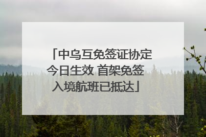 中乌互免签证协定今日生效 首架免签入境航班已抵达