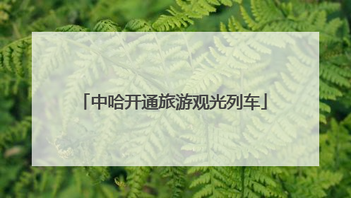 中哈开通旅游观光列车
