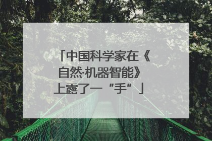 中国科学家在《自然·机器智能》上露了一“手”