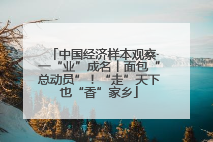 中国经济样本观察·一“业”成名丨面包“总动员”！“走”天下也“香”家乡