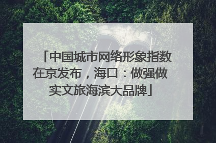 中国城市网络形象指数在京发布，海口：做强做实文旅海滨大品牌