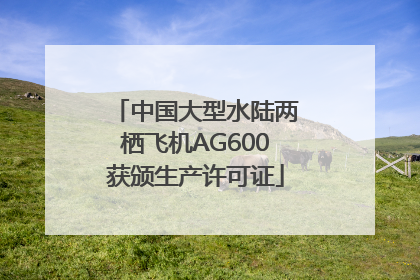 中国大型水陆两栖飞机AG600获颁生产许可证