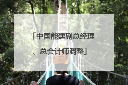 中国能建副总经理、总会计师调整