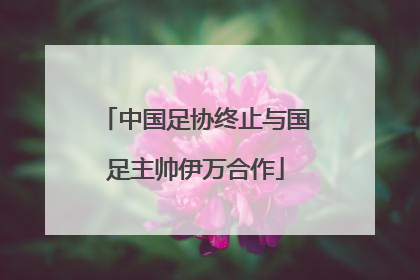 中国足协终止与国足主帅伊万合作