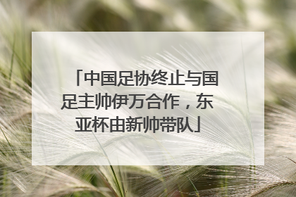 中国足协终止与国足主帅伊万合作，东亚杯由新帅带队