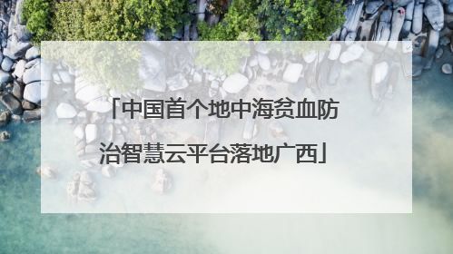 中国首个地中海贫血防治智慧云平台落地广西