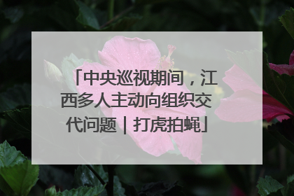 中央巡视期间，江西多人主动向组织交代问题｜打虎拍蝇