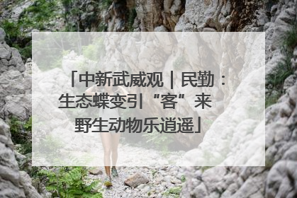 中新武威观｜民勤：生态蝶变引“客”来 野生动物乐逍遥