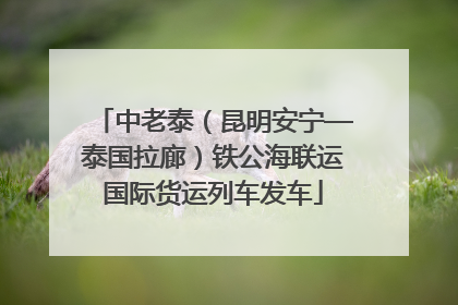 中老泰（昆明安宁—泰国拉廊）铁公海联运国际货运列车发车