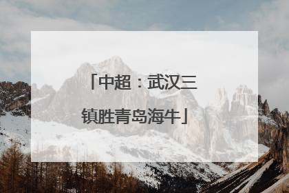 中超：武汉三镇胜青岛海牛