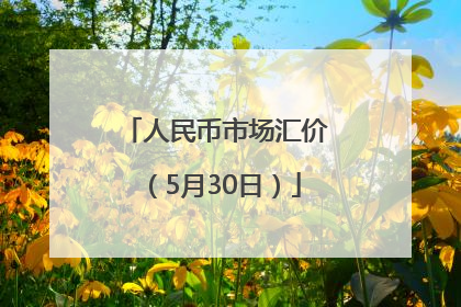 人民币市场汇价（5月30日）