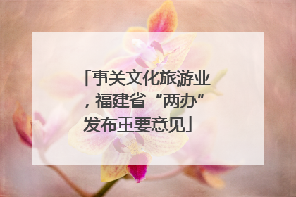 事关文化旅游业，福建省“两办”发布重要意见