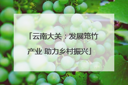 云南大关：发展筇竹产业 助力乡村振兴