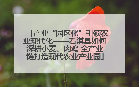 产业“园区化”引领农业现代化——看淇县如何深耕小麦、肉鸡 全产业链打造现代农业产业园
