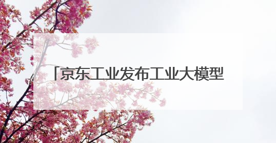 京东工业发布工业大模型Joy industrial并启动上海“链动众城 万亿降本”计划
