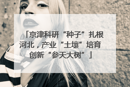 京津科研“种子”扎根河北，产业“土壤”培育创新“参天大树”
