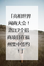 亮相世界闽商大会！洛江7个招商项目在福州集中签约！