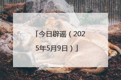 今日辟谣（2025年5月9日）