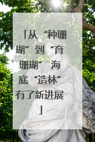 从“种珊瑚”到“育珊瑚” 海底“造林”有了新进展