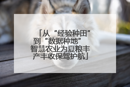 从“经验种田”到“数据种地” 智慧农业为夏粮丰产丰收保驾护航
