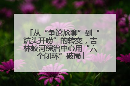 从“争论尬聊”到“炕头开唠”的转变，吉林蛟河综治中心用“六个闭环”破局