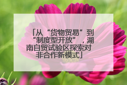 从“货物贸易”到“制度型开放”，湖南自贸试验区探索对非合作新模式