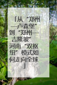 从“郑州—卢森堡”到“郑州—吉隆坡” 河南“双枢纽”模式如何走向全球