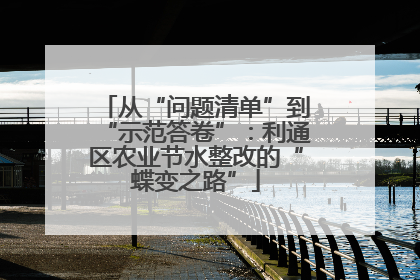从“问题清单”到“示范答卷”：利通区农业节水整改的“蝶变之路”