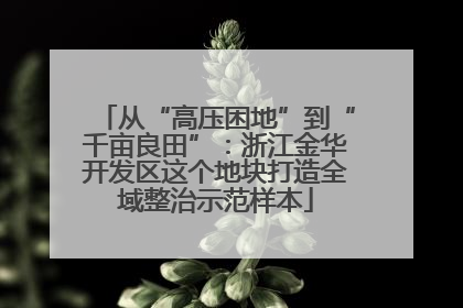 从“高压困地”到“千亩良田”：浙江金华开发区这个地块打造全域整治示范样本