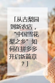 从古梨园到新农店，“中国雪花梨之乡”如何在拼多多开启新篇章？