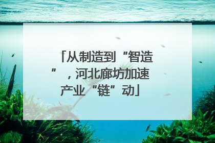 从制造到“智造”，河北廊坊加速产业“链”动