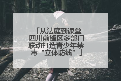 从法庭到课堂 四川前锋区多部门联动打造青少年禁毒“立体防线”