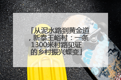 从泥水路到黄金道，新泰王峪村：一条1300米村路见证的乡村振兴蝶变