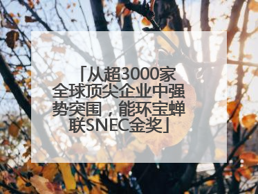 从超3000家全球顶尖企业中强势突围，能环宝蝉联SNEC金奖