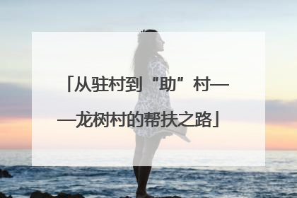 从驻村到“助”村——龙树村的帮扶之路