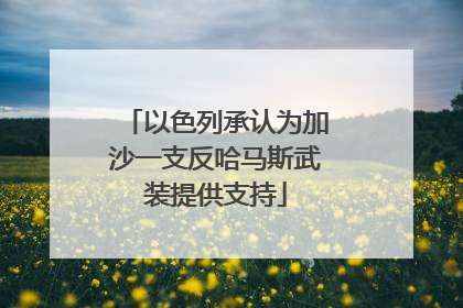 以色列承认为加沙一支反哈马斯武装提供支持