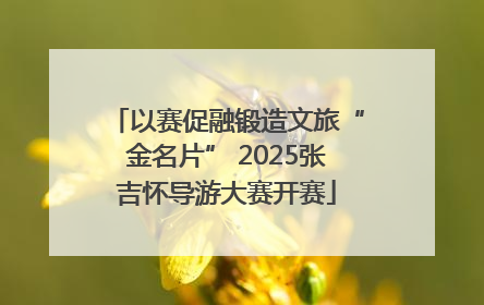 以赛促融锻造文旅“金名片” 2025张吉怀导游大赛开赛