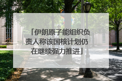 伊朗原子能组织负责人称该国核计划仍在继续强力推进
