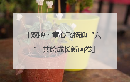 双牌：童心飞扬迎“六一” 共绘成长新画卷