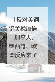反对美钢铝关税加倍 加拿大、墨西哥、欧盟反应来了