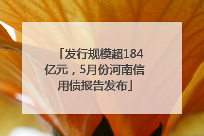 发行规模超184亿元，5月份河南信用债报告发布