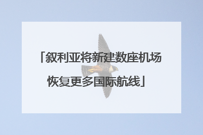 叙利亚将新建数座机场 恢复更多国际航线